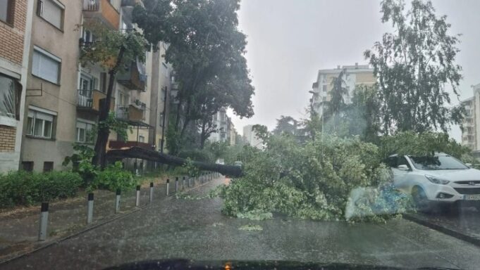 Невремето направи хаос во Скопје, има штети, дрво падна врз автомобил во движење