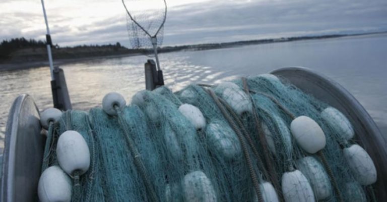 РИБОКРАДЦИ ГО ПУСТОШАТ ОХРИДСКОТО ЕЗЕРО! За само 2 месеци запленети 126 рибарски мрежи