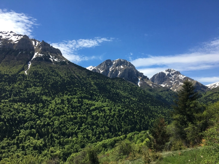 Националниот парк Шар Планина бара стопирање на градбата на две хидроелектрани