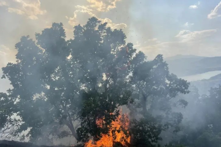 Македонија мака мачи со пожарите, кај Бучинци вклучени авиони на ДЗС