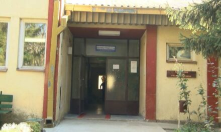 Потресно сведоштво на мајка за тортура на нејзиниот син со аутизам во психијатриската болница во Демир Хисар