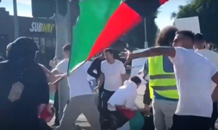 ПАЛЕСТИНА НЕ Е ХАМАС:Еве каков став имаат Палестинците за оваа организација