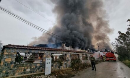 Пожарот во Фалише ги разоткри слабостите на противпожарната