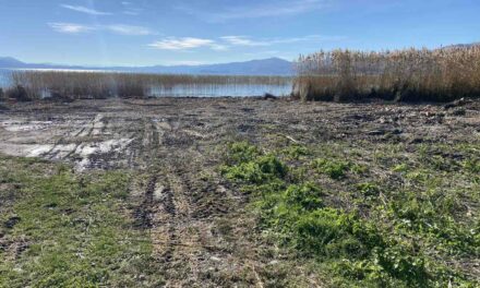 Охрид СОС реагира на ново уништување на Охридското крајбрежје кај Струга
